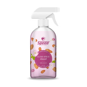 Gloss- Spray "Mandel" 500 ml